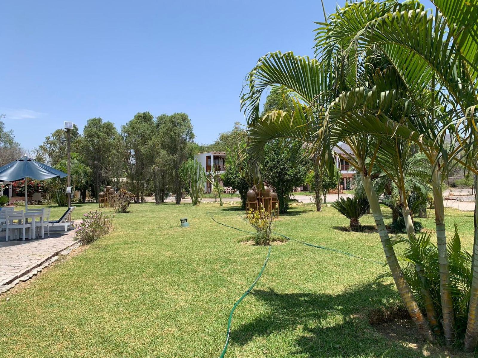 Готель Casa Hacienda Nasca Oasis Наска Екстер'єр фото