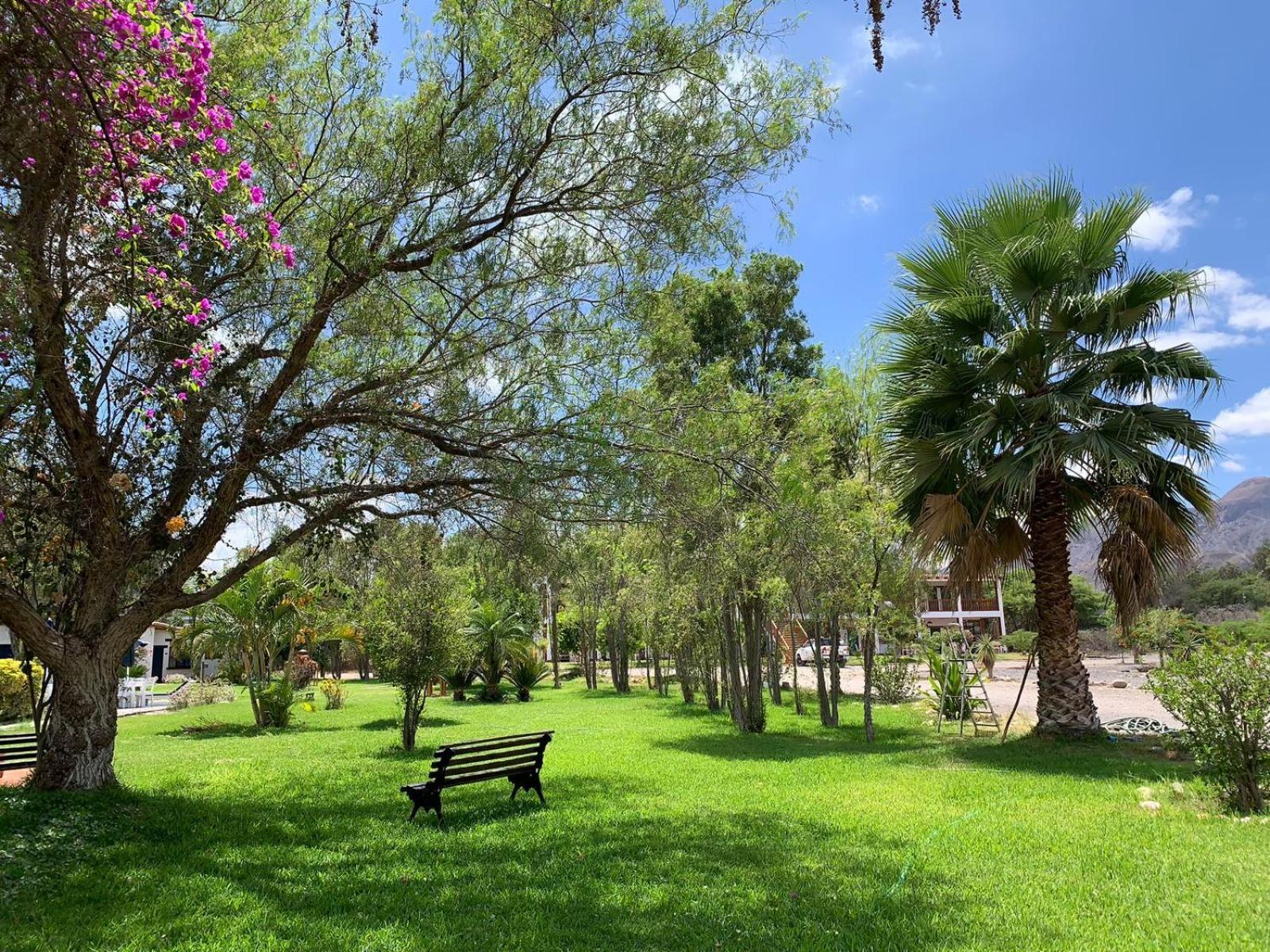 Готель Casa Hacienda Nasca Oasis Наска Екстер'єр фото